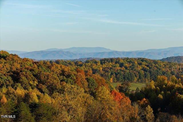 TBD Harmony Rd, Jonesborough, TN 37659 - photo 14