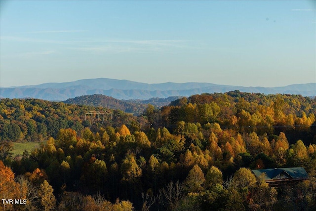 TBD Harmony Rd, Jonesborough, TN 37659 - photo 15