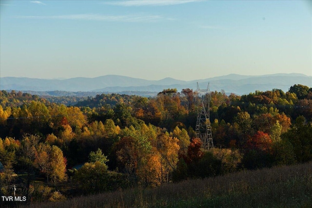TBD Harmony Rd, Jonesborough, TN 37659 - photo 16