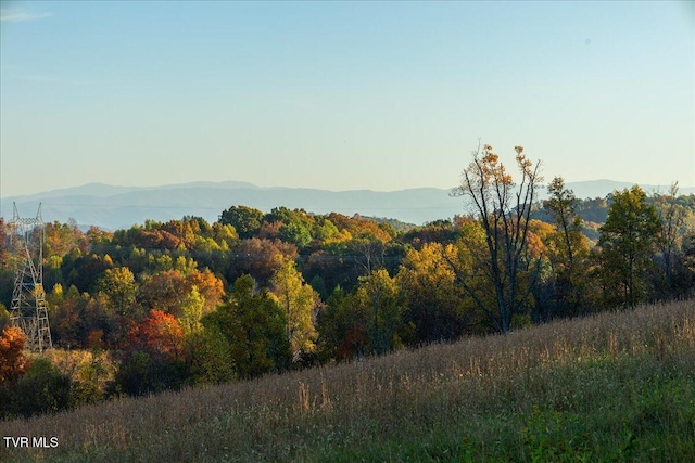 TBD Harmony Rd, Jonesborough, TN 37659 - photo 17