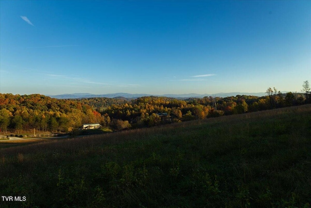 TBD Harmony Rd, Jonesborough, TN 37659 - photo 41