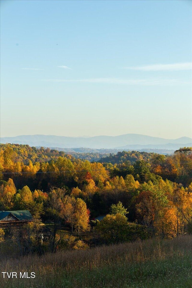TBD Harmony Rd, Jonesborough, TN 37659 - photo 42