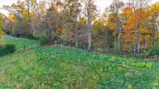TBD Harmony Rd, Jonesborough, TN 37659 - photo 51