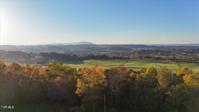 TBD Harmony Rd, Jonesborough, TN 37659 - photo 52