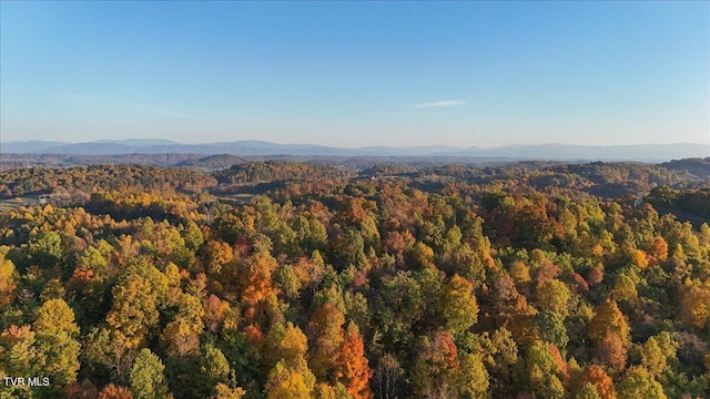 TBD Harmony Rd, Jonesborough, TN 37659 - photo 53