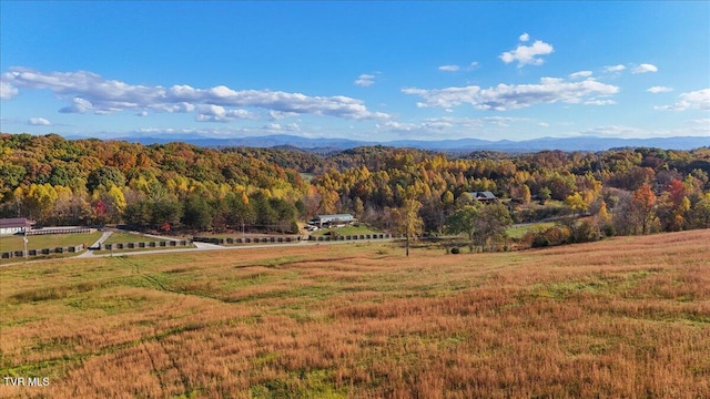 TBD Harmony Rd, Jonesborough, TN 37659 - photo 55