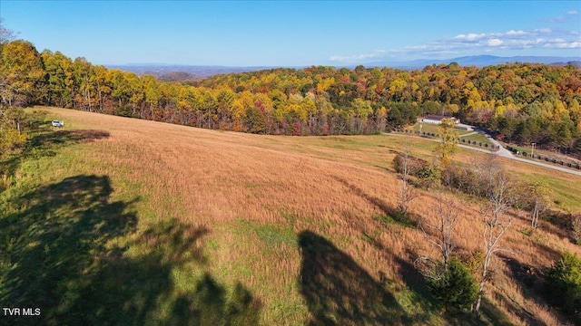 TBD Harmony Rd, Jonesborough, TN 37659 - photo 56
