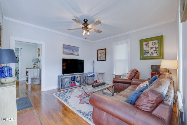 711 E Fairview Ave, Johnson City, TN 37601 - photo 5