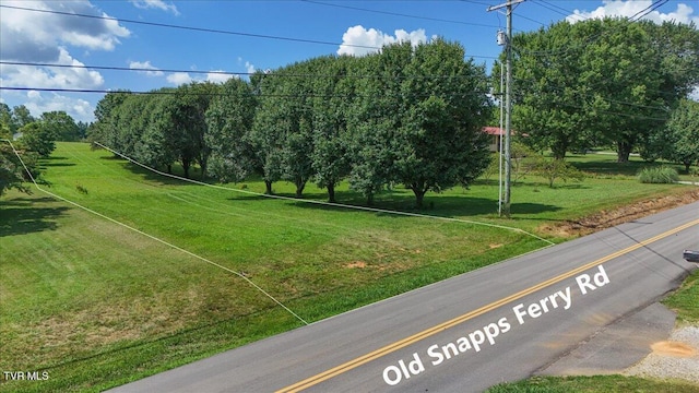 655 Old Snapps Ferry Rd, Chuckey, TN 37641 - photo 7