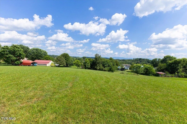 655 Old Snapps Ferry Rd, Chuckey, TN 37641 - photo 9