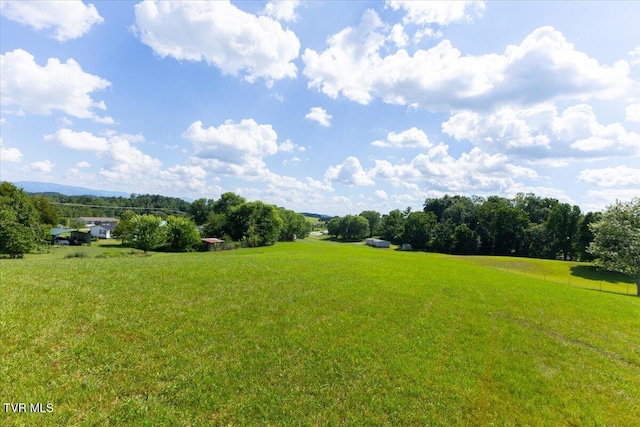 655 Old Snapps Ferry Rd, Chuckey, TN 37641 - photo 10