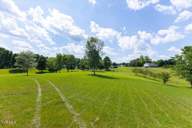 655 Old Snapps Ferry Rd, Chuckey, TN 37641 - photo 11