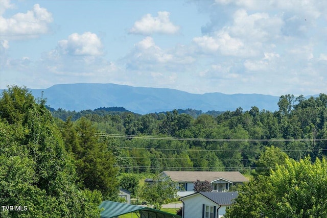 655 Old Snapps Ferry Rd, Chuckey, TN 37641 - photo 12