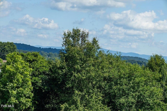 655 Old Snapps Ferry Rd, Chuckey, TN 37641 - photo 13