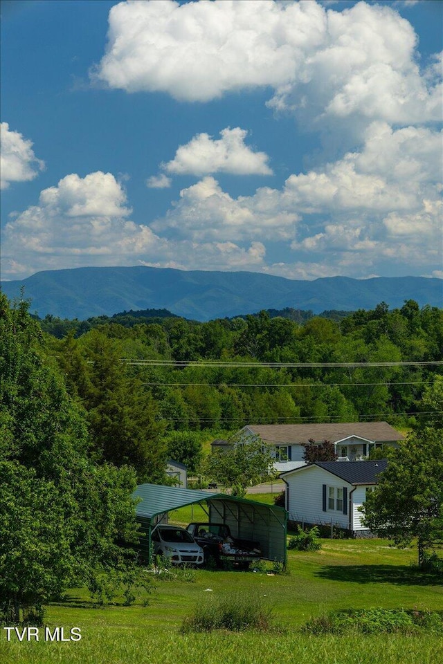 655 Old Snapps Ferry Rd, Chuckey, TN 37641 - photo 14