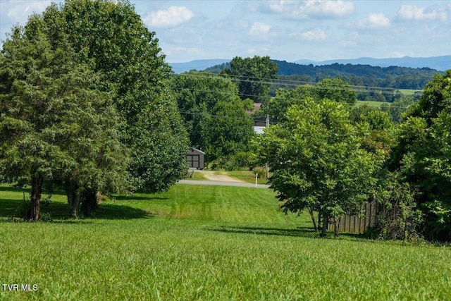 655 Old Snapps Ferry Rd, Chuckey, TN 37641 - photo 17