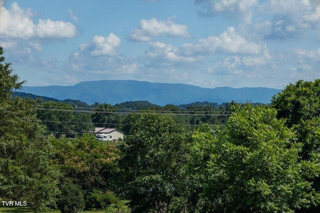655 Old Snapps Ferry Rd, Chuckey, TN 37641 - photo 18