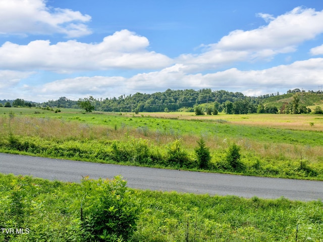 LOT6 Cantrell, Bulls Gap, TN 37711 - photo 6