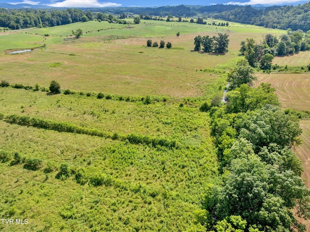 LOT6 Cantrell, Bulls Gap, TN 37711 - photo 10