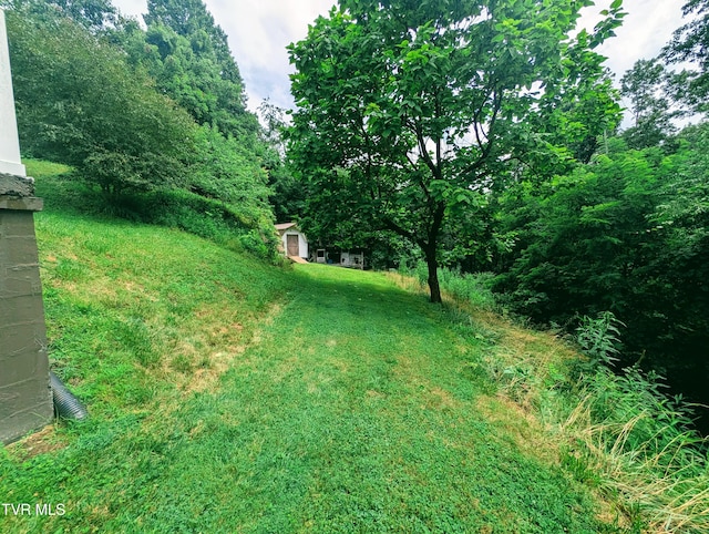 2005 Dc Caney Ridge Rd, Clintwood, VA 24228 - view of green lawn featuring a shed