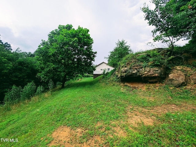 2005 Dc Caney Ridge Rd, Clintwood, VA 24228 - view of yard
