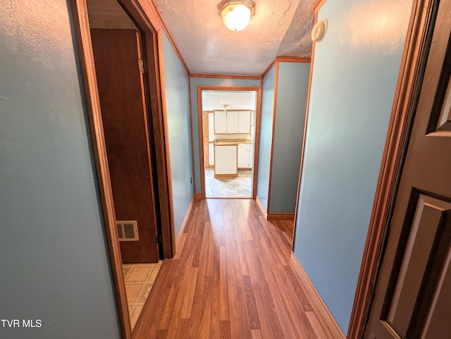 2005 Dc Caney Ridge Rd, Clintwood, VA 24228 - corridor featuring light wood-style flooring, a textured ceiling, and crown molding