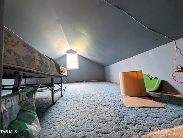 2005 Dc Caney Ridge Rd, Clintwood, VA 24228 - additional living space featuring lofted ceiling and carpet floors
