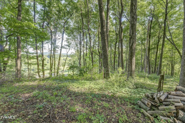 1235 Old Boones Creek Rd, Jonesborough, TN 37659 - photo 106