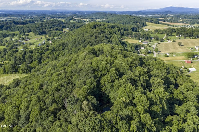 1235 Old Boones Creek Rd, Jonesborough, TN 37659 - photo 115