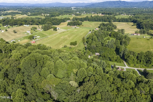 1235 Old Boones Creek Rd, Jonesborough, TN 37659 - photo 116