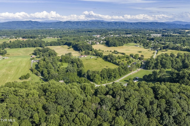 1235 Old Boones Creek Rd, Jonesborough, TN 37659 - photo 117
