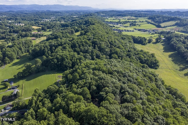 1235 Old Boones Creek Rd, Jonesborough, TN 37659 - photo 118