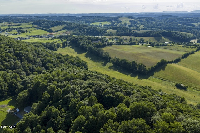 1235 Old Boones Creek Rd, Jonesborough, TN 37659 - photo 119
