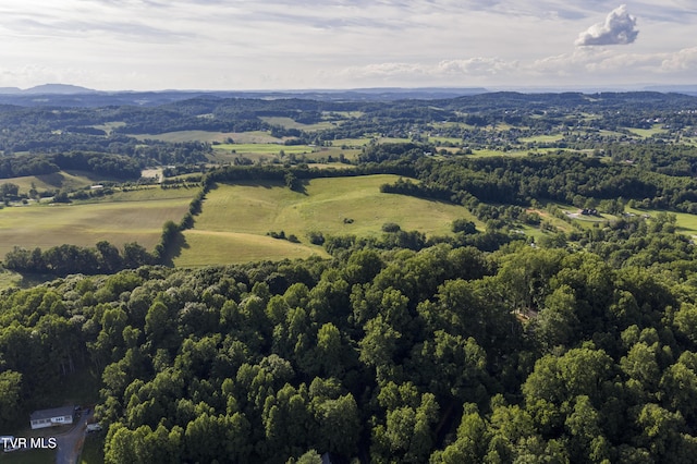 1235 Old Boones Creek Rd, Jonesborough, TN 37659 - photo 120