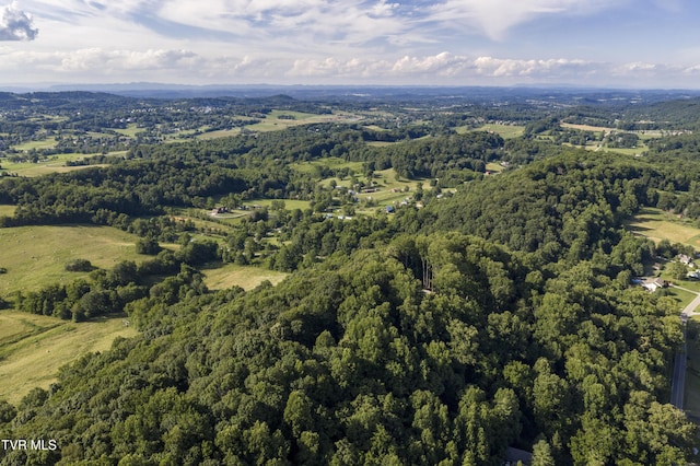 1235 Old Boones Creek Rd, Jonesborough, TN 37659 - photo 121