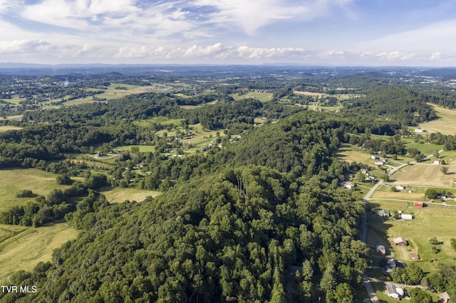 1235 Old Boones Creek Rd, Jonesborough, TN 37659 - photo 122