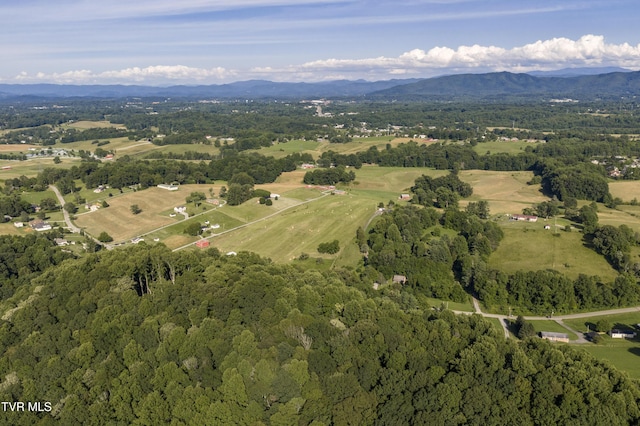 1235 Old Boones Creek Rd, Jonesborough, TN 37659 - photo 123