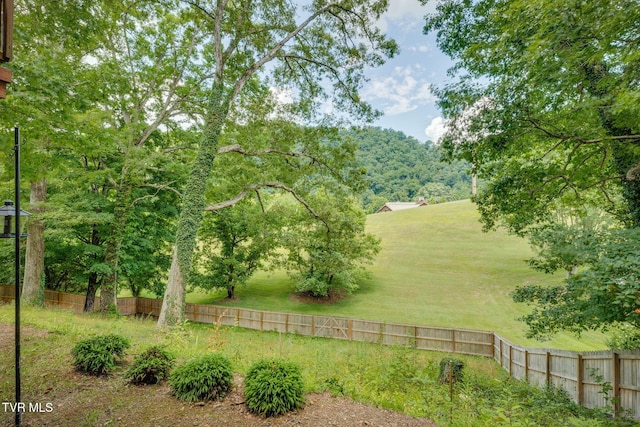 312 Timberlane Rd, Bristol, TN 37620 - view of yard