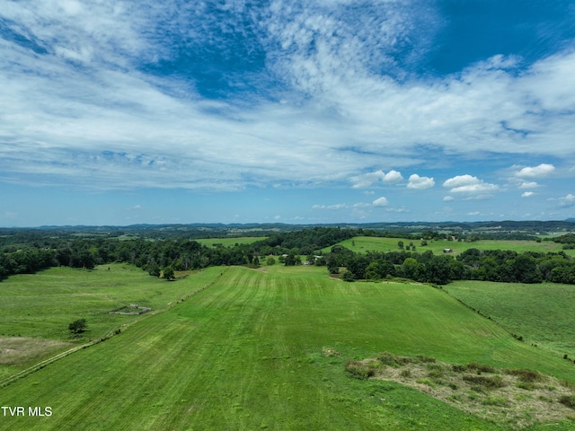 TBD Leesburg Rd, Telford, TN 37690 - photo 4