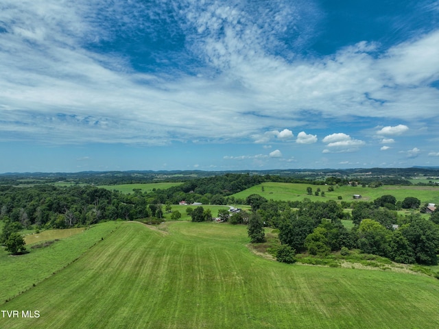 TBD Leesburg Rd, Telford, TN 37690 - photo 5