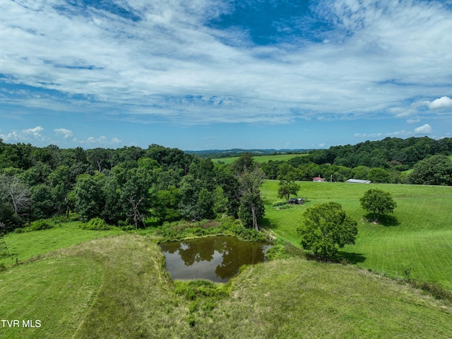 TBD Leesburg Rd, Telford, TN 37690 - photo 6