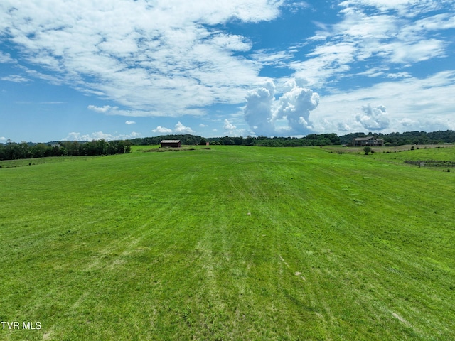 TBD Leesburg Rd, Telford, TN 37690 - photo 9