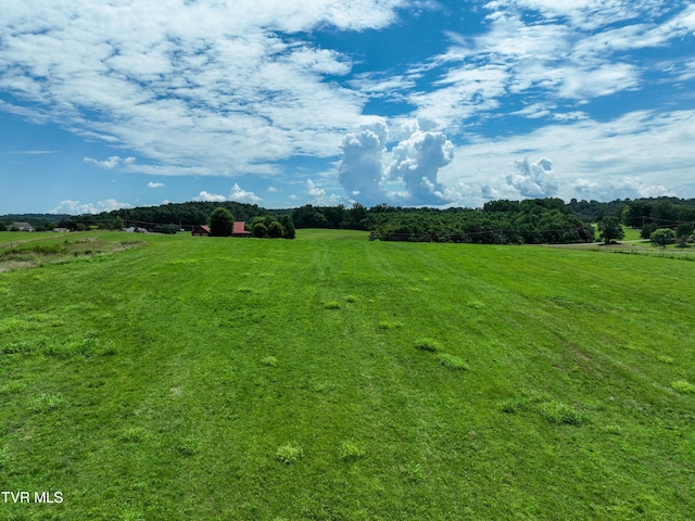 TBD Leesburg Rd, Telford, TN 37690 - photo 11