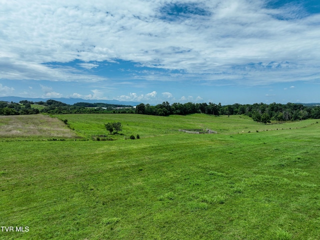 TBD Leesburg Rd, Telford, TN 37690 - photo 12