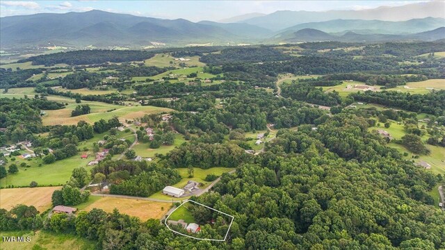 145 Oakwood Dr Way, Newport, TN 37821 - aerial view of property's location with property parcel outlined and a mountain backdrop