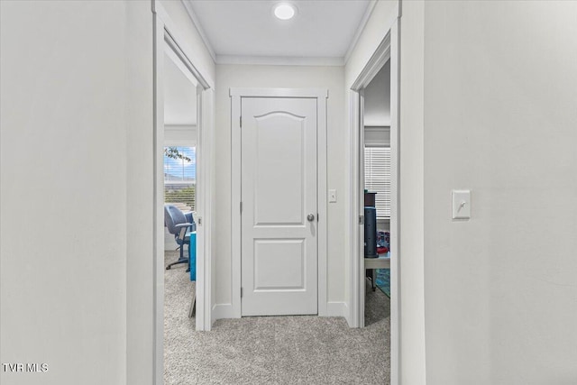 145 Oakwood Dr Way, Newport, TN 37821 - hallway featuring carpet and crown molding