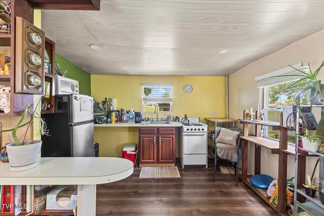 145 Oakwood Dr Way, Newport, TN 37821 - kitchen with white appliances, healthy amount of natural light, dark wood-style flooring, and light countertops