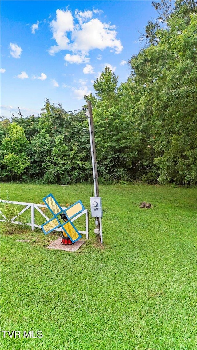 145 Oakwood Dr Way, Newport, TN 37821 - view of grassy yard