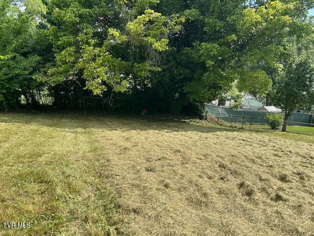 938 Barker St, Bristol, TN 37620 - view of yard