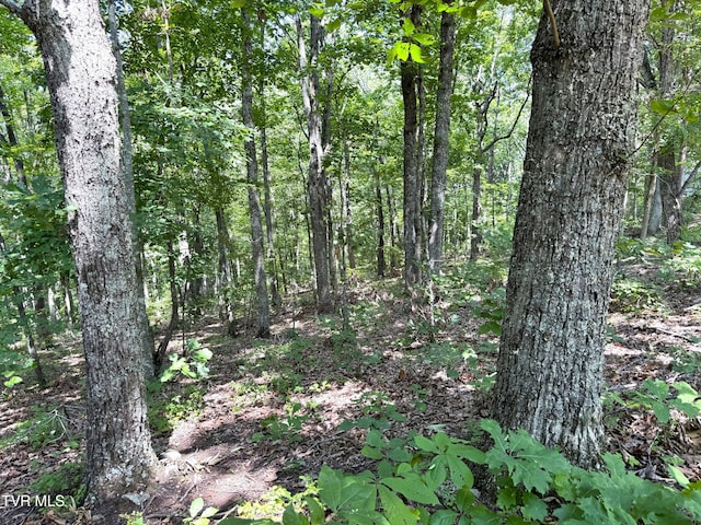 LOT36 Pecan Tree Ln, Newport, TN 37821